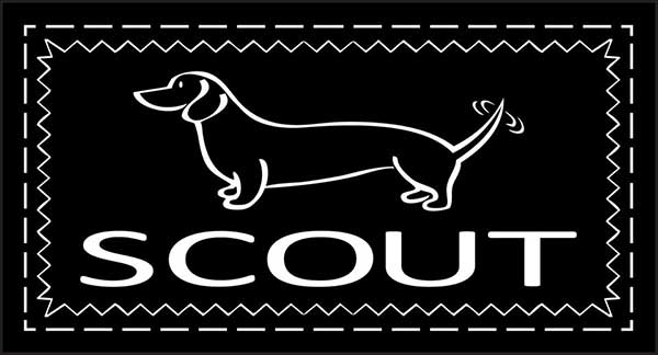Scout