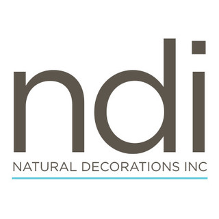 NDI